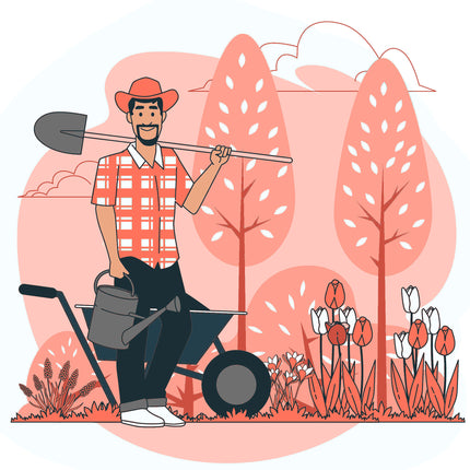 Δήλωση Καθαρισμού Οικοπέδου